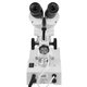 Бінокулярний стереомікроскоп AmScope SE303 Прев'ю 1